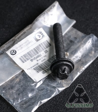 Rear lateral arm bolt (2.9L...